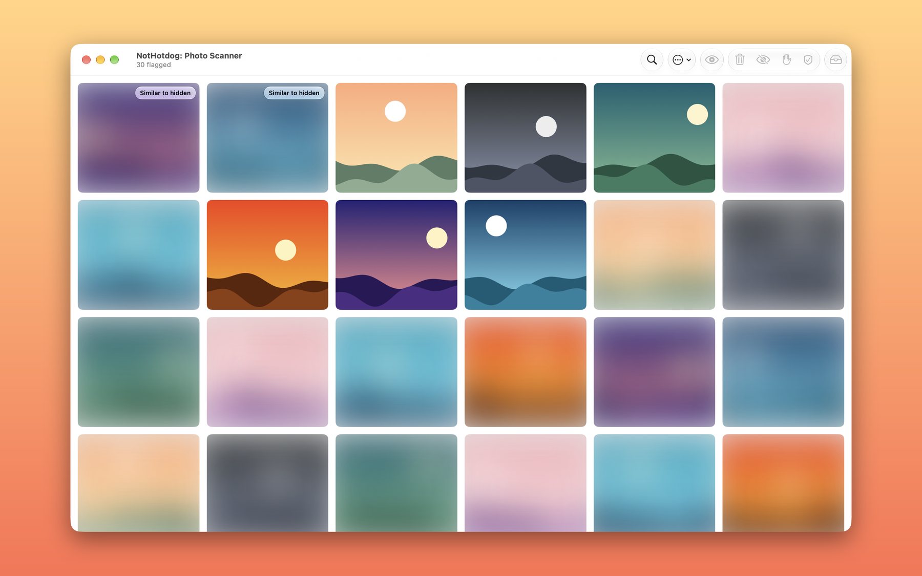 The NotHotdog window: a grid of flagged photos, most blurred, a few revealed, with Delete, Hide, Ignore and Not Sensitive buttons in the toolbar.